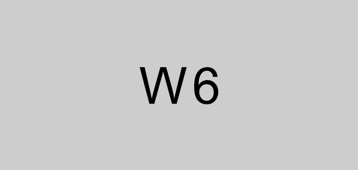 logo-w6-big